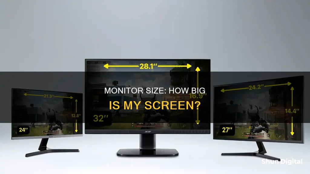 what is my current monitor size