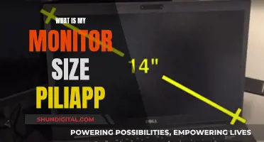 Monitor Size: Piliapp's Guide to Finding the Perfect Fit