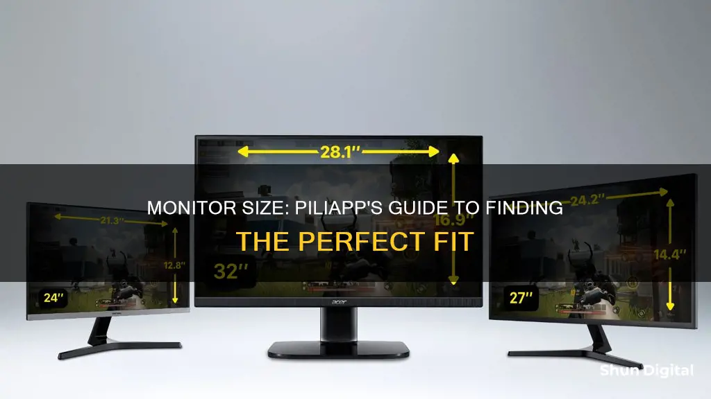 what is my monitor size piliapp