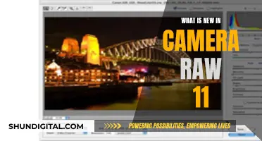 Latest Camera Raw 11 Features Explained