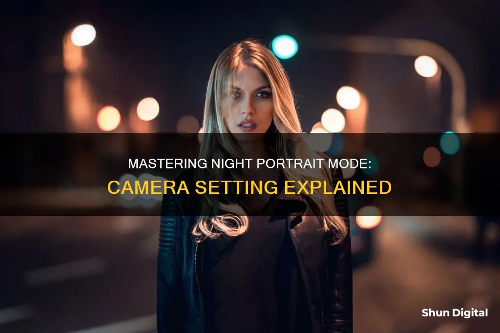 what is night portrait mode on a camera