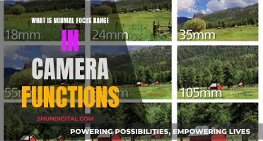 Understanding the Normal Focus Range for Better Camera Work