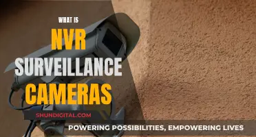 NVR Surveillance Cameras: How Do They Work?