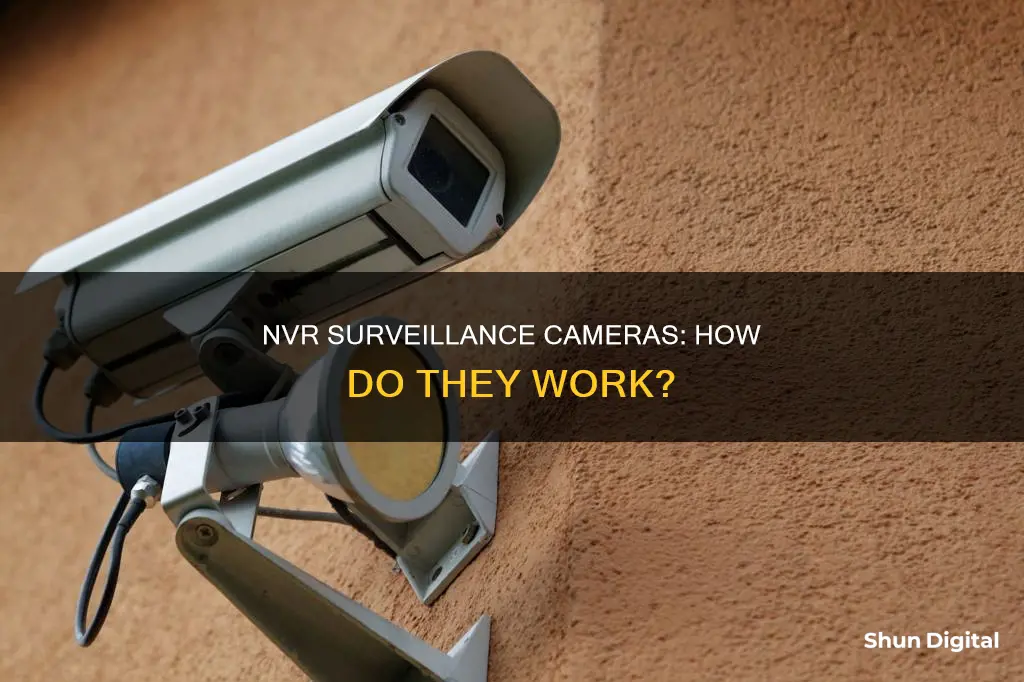 what is nvr surveillance cameras