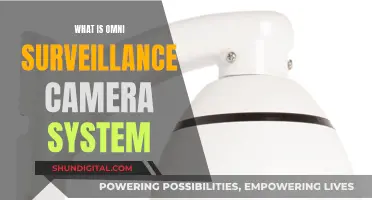 Omni Surveillance Camera System: All-Encompassing Security Solution