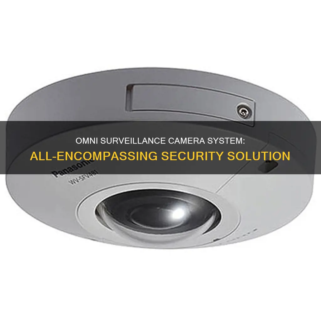 what is omni surveillance camera system