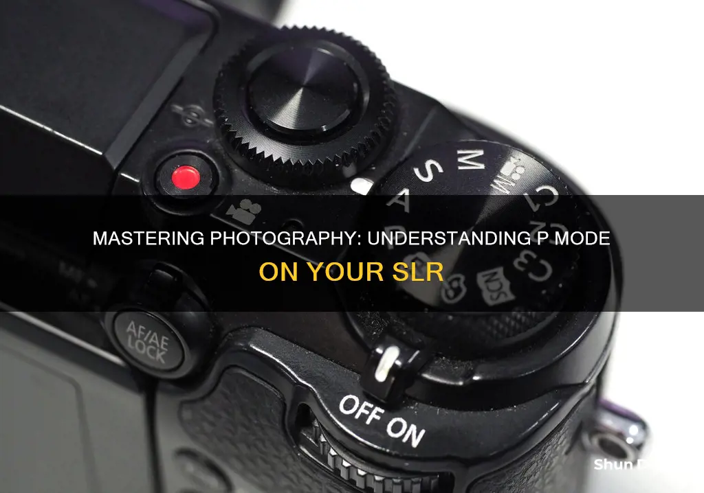 what is p mode on slr camera