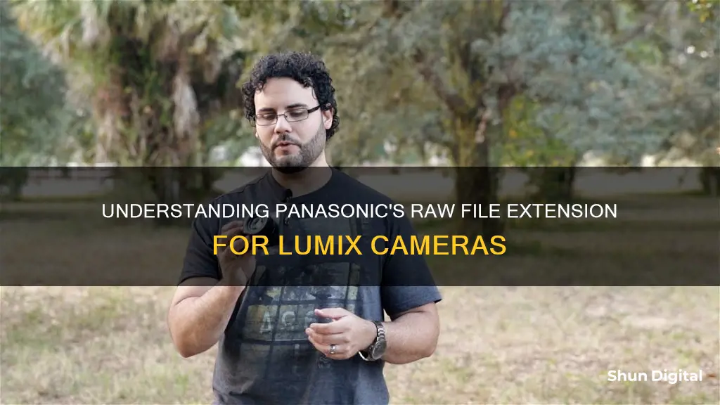 what is panaonics raw file type extension for lumic cameras