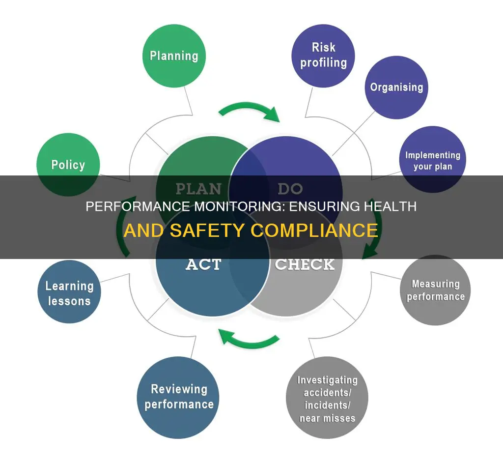 what is performance monitoring in health and safety