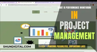 Performance Monitoring: Managing Projects with Real-Time Data