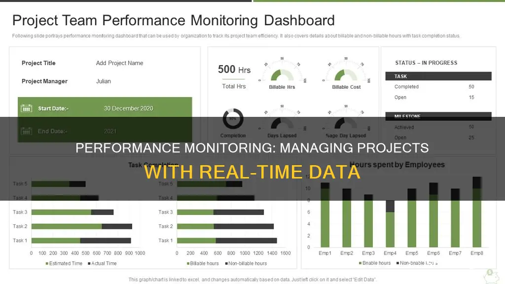 what is performance monitoring in project management