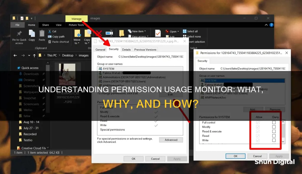 what is permission usage monitor