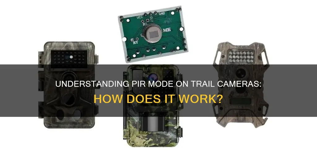 what is pir mode on a trail camera