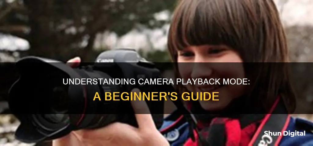 what is playback mode on a camera