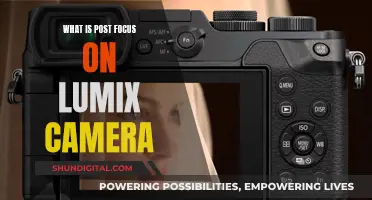 Mastering Post Focus on Your Lumix Camera