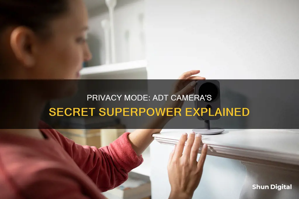 what is privacy mode adt camera