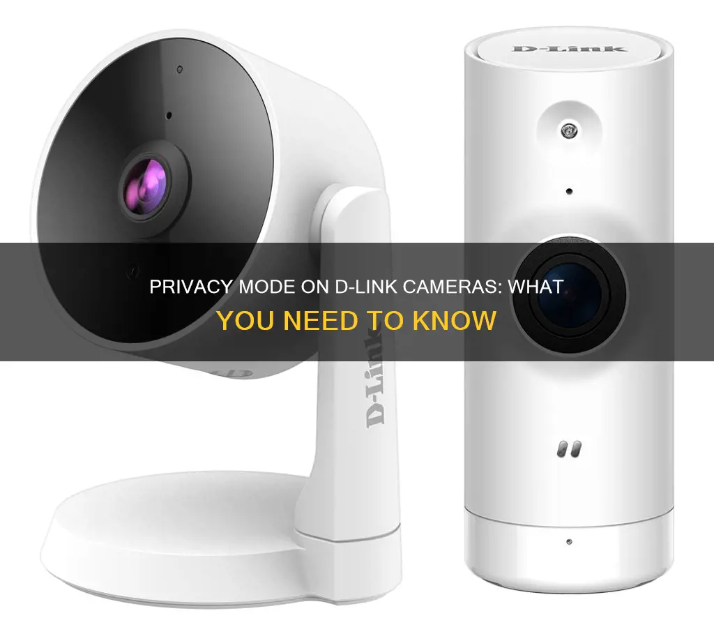 what is privacy mode on a dlink camera