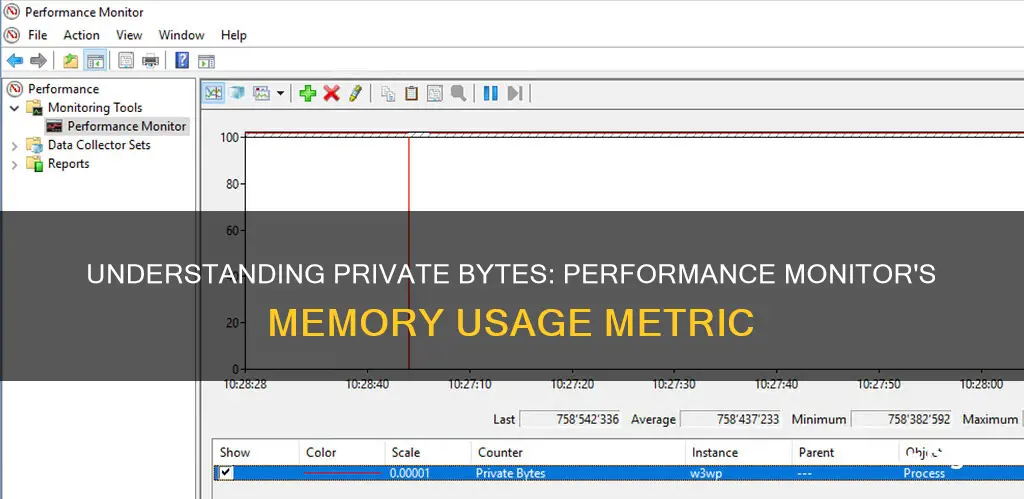 what is private bytes in performance monitor