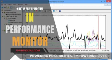 Understanding Privileged Time in Performance Monitor