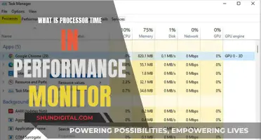 Understanding Processor Time: Performance Monitor's Vital Sign