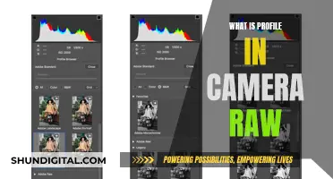 Understanding Camera Raw's Profile Tab