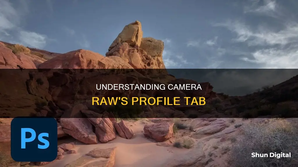 what is profile in camera raw