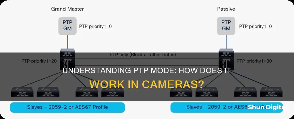 what is ptp mode in camera