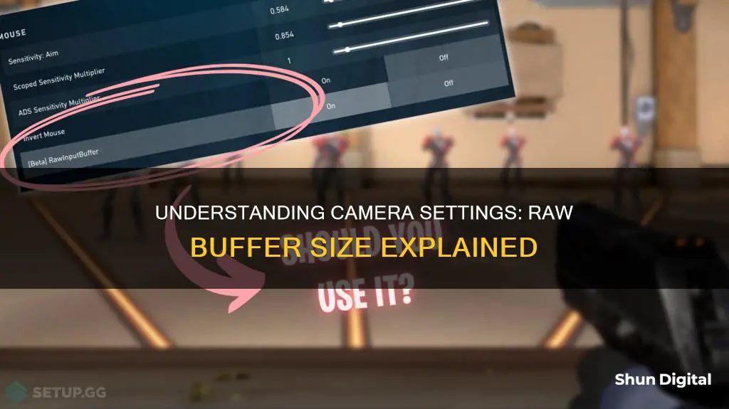 what is raw buffer size camera