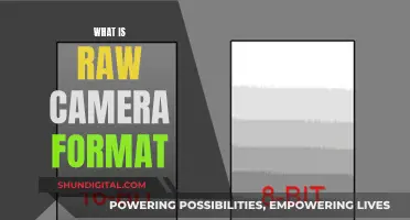 Understanding Raw Camera Format for Photography