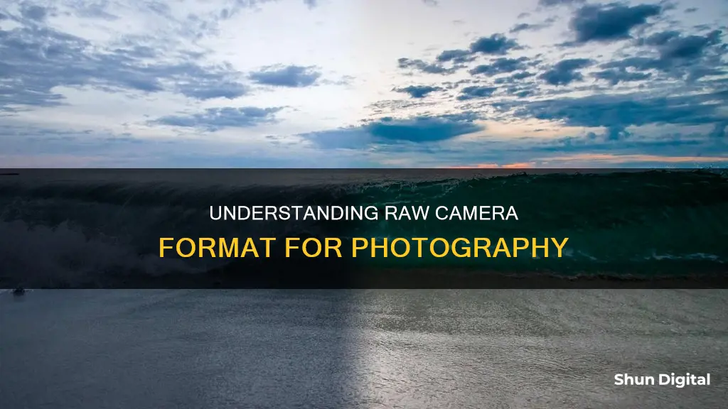 what is raw camera format