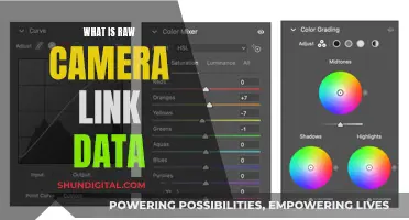 Understanding Raw Camera Link Data: Unlocking the Power