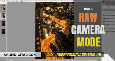 Understanding Raw Camera Mode: Unlocking Photography Potential