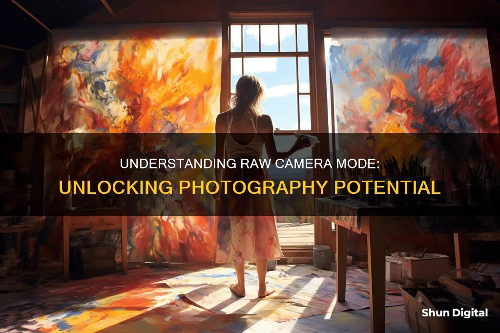 what is raw camera mode