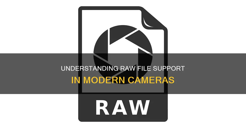 what is raw file support in cameras