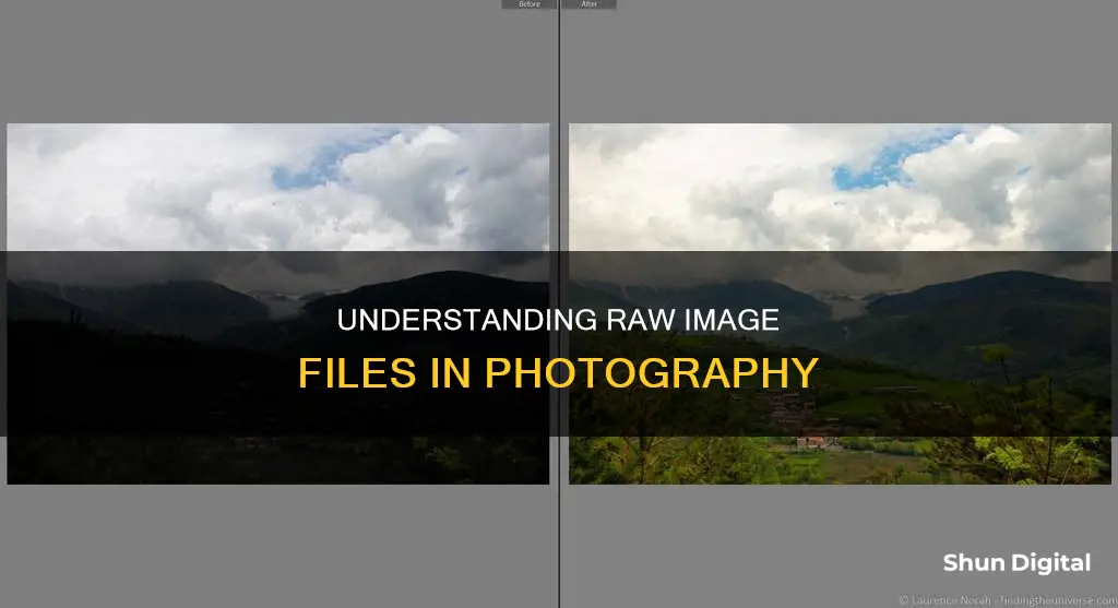 what is raw image in camera