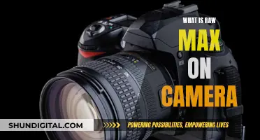 Understanding the Power of Raw Max on Camera