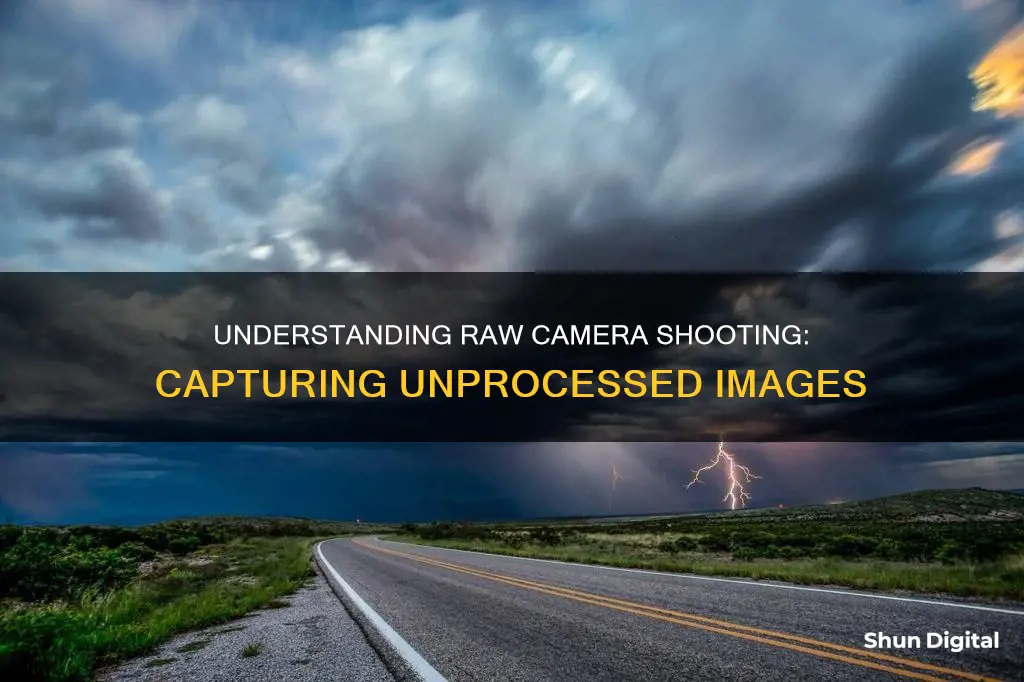 what is raw shooting camera