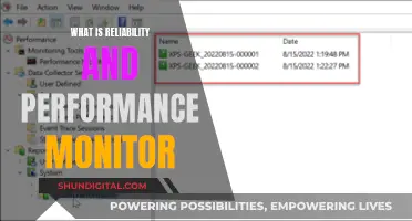 Reliability and Performance Monitor: Essential for System Efficiency