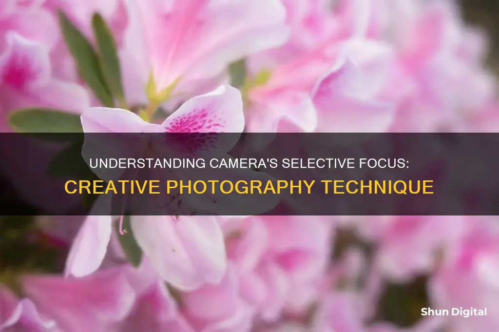 what is selective focus on a camera