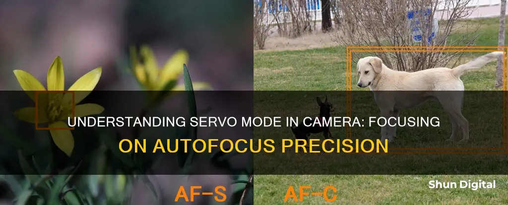 what is servo mode in camera