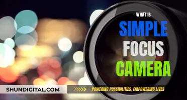 Understanding Simple Focus Cameras and Their Unique Functionality