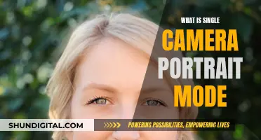 Unlocking Single-Camera Portrait Mode: Unraveling the Mystery