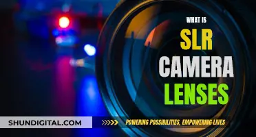 Understanding SLR Camera Lenses: A Beginner's Guide