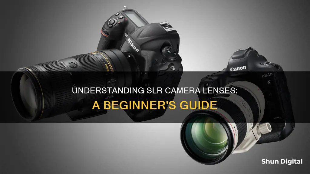 what is slr camera lenses