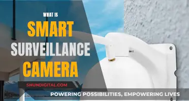 Smart Surveillance Cameras: The Future of Security