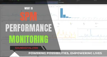 SPM Performance Monitoring: Maximizing IT Efficiency