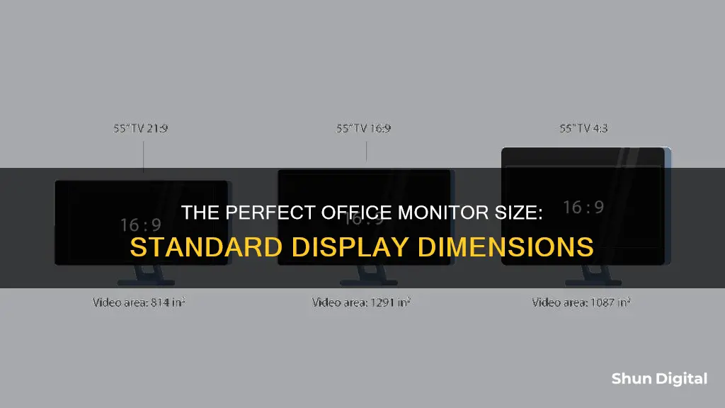 what is standard size office monitor