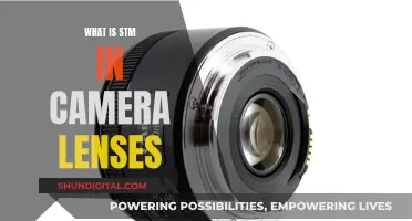 STM Camera Lenses: What's the Deal?