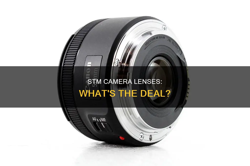 what is stm in camera lenses