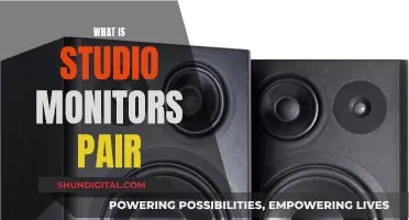 The Ultimate Studio Monitors: A Powerful Pair